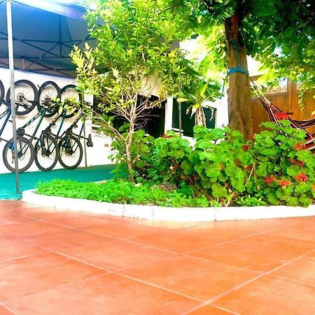 Hostal White House Galapagos Puerto Ayora  Zewnętrze zdjęcie