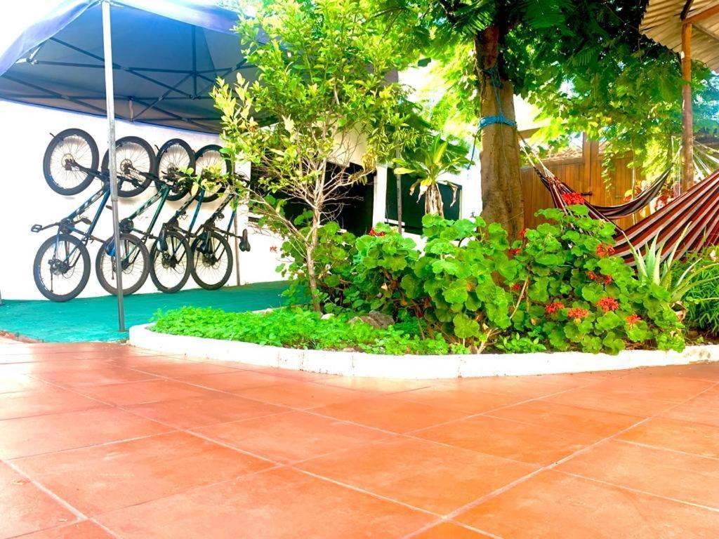 Hostal White House Galapagos Puerto Ayora  Zewnętrze zdjęcie