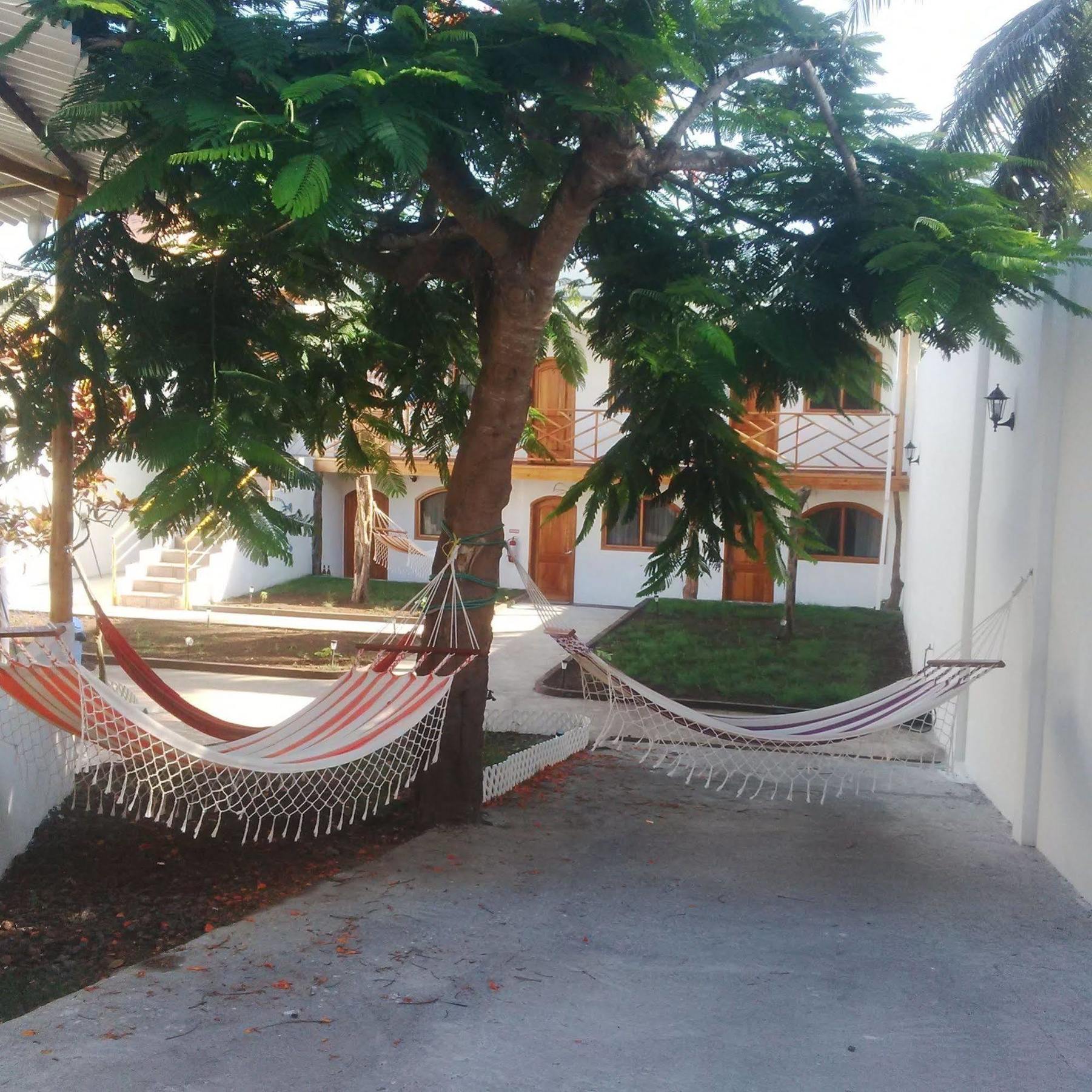 Hostal White House Galapagos Puerto Ayora  Zewnętrze zdjęcie