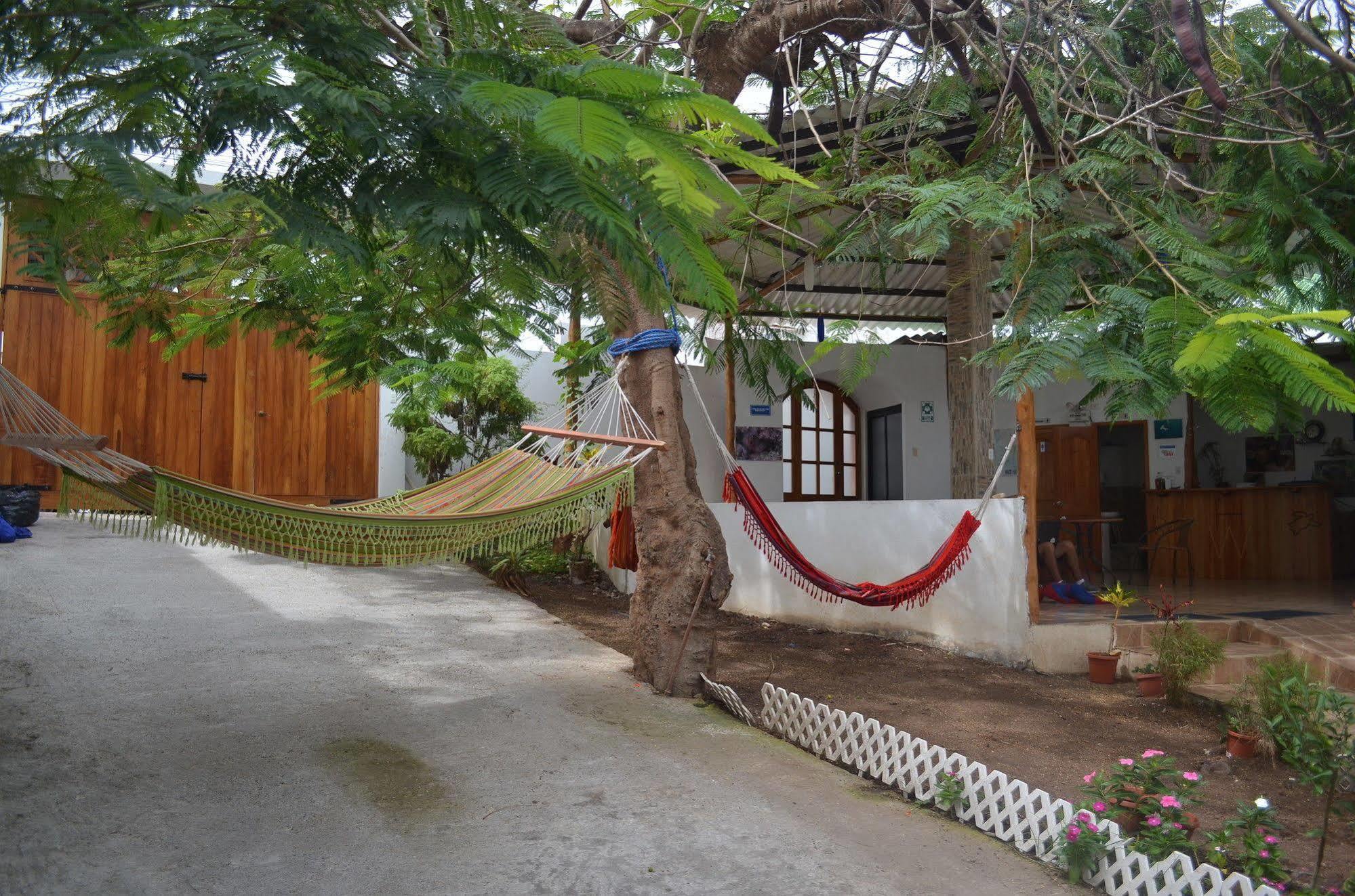 Hostal White House Galapagos Puerto Ayora  Zewnętrze zdjęcie